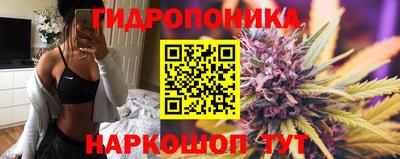 стаф Пугачёв