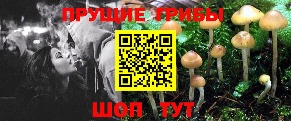 Галлюциногенные грибы GOLDEN TEACHER Петрозаводск